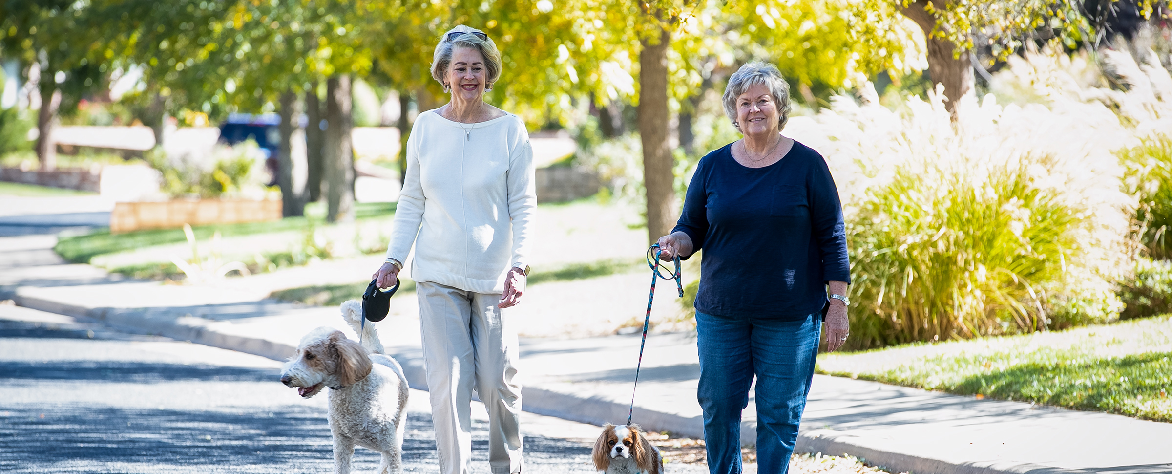 two ladies walking dogs